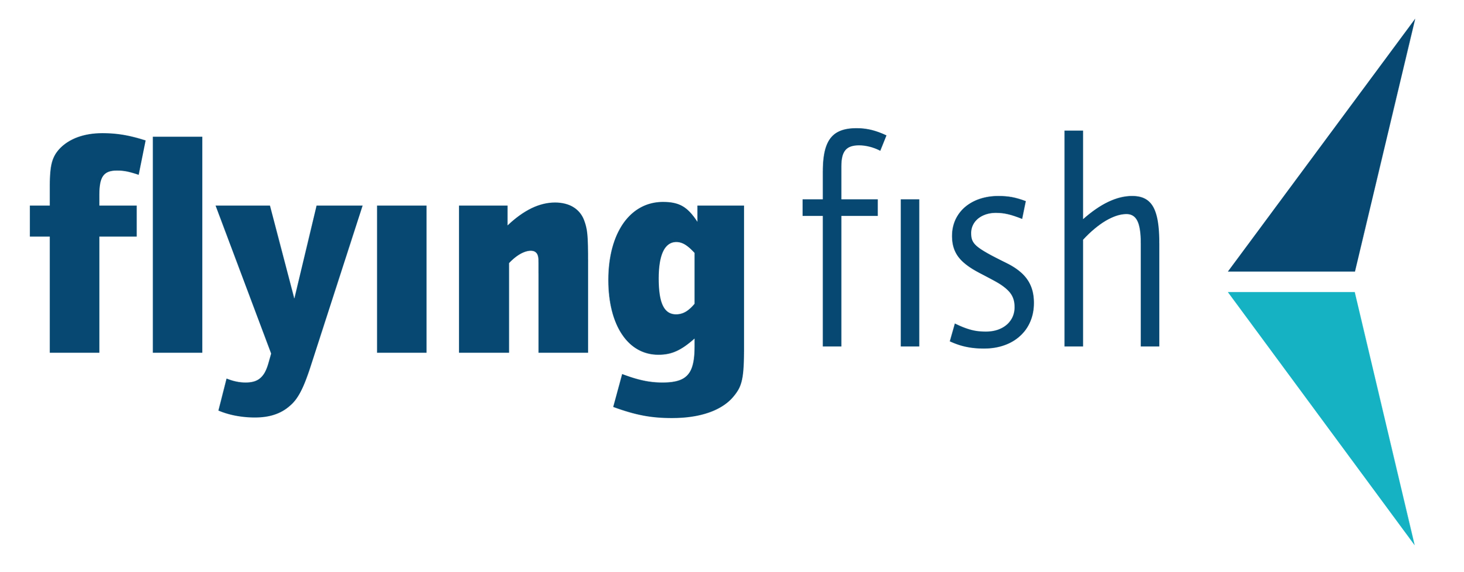 Flying Fish Logo